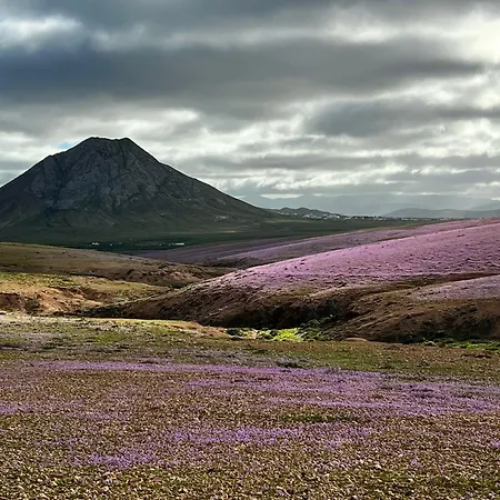 Maravilla Piscina Climatizada