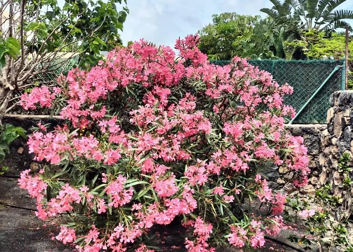 Villa Maravilla Piscina Climatizada Villaverde (Fuerteventura)
