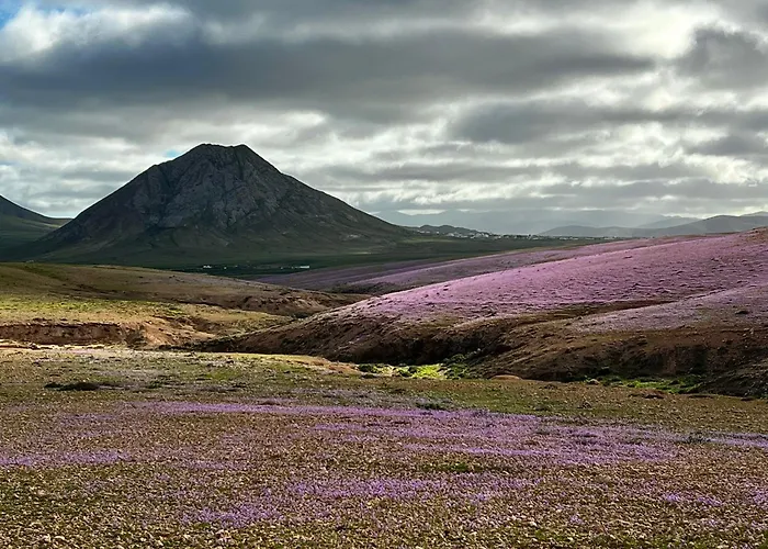 Maravilla Piscina Climatizada