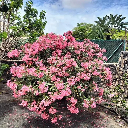 Villa Maravilla Piscina Climatizada Villaverde (Fuerteventura)