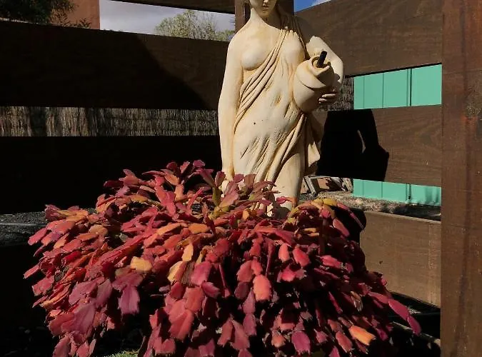 Maravilla Piscina Climatizada Vila